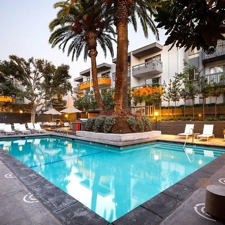 Luxury Apartment In Downtown